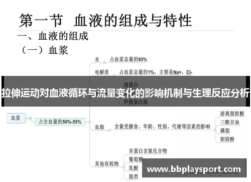 拉伸运动对血液循环与流量变化的影响机制与生理反应分析